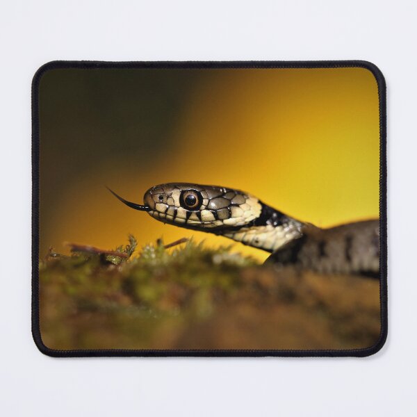 Item preview, Grass snake designed and sold by Christian Moss.