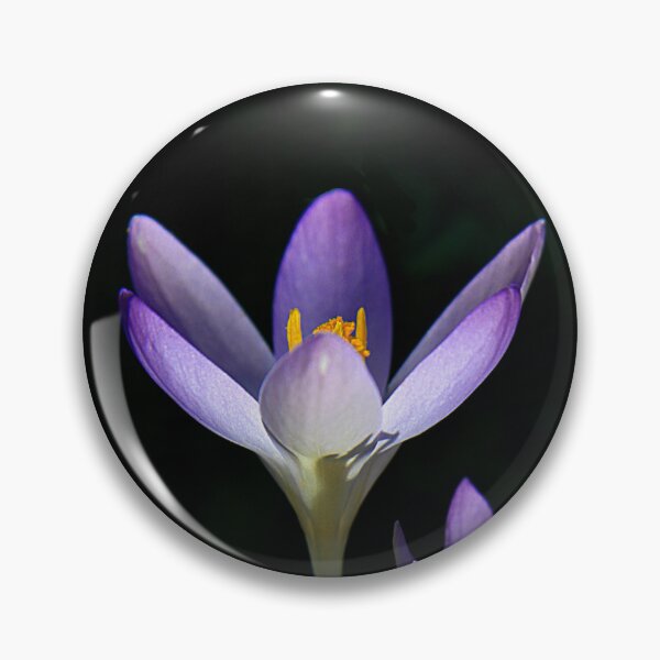 Item preview, Spring has Sprung.... designed and sold by CharlotteMorse.