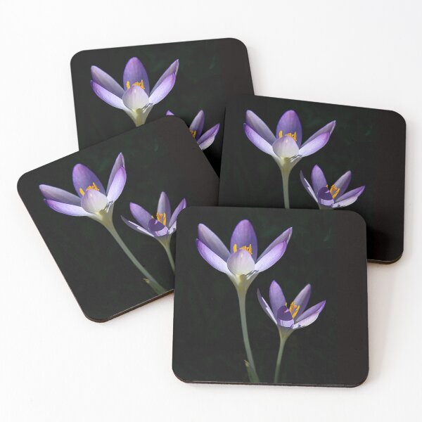Item preview, Spring has Sprung.... designed and sold by CharlotteMorse.
