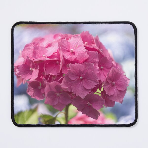 Item preview, Hydrangea Flower designed and sold by Alisonchambers2.