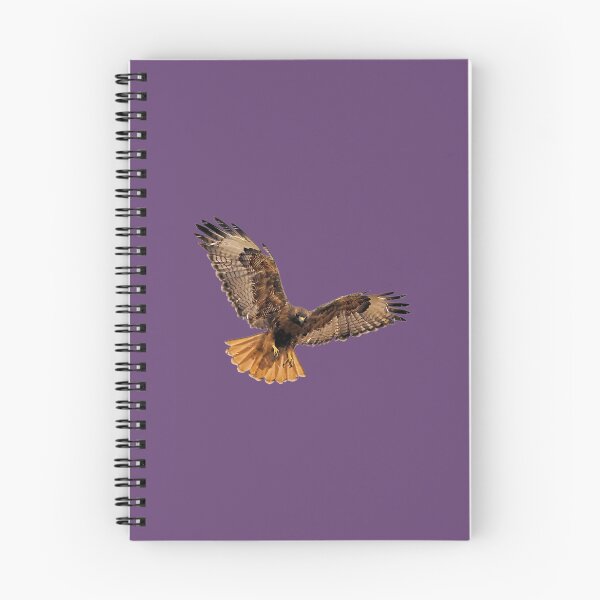 Item preview, Red- Tailed Hawk 5 Tee   	 designed and sold by wnqgezovv25.