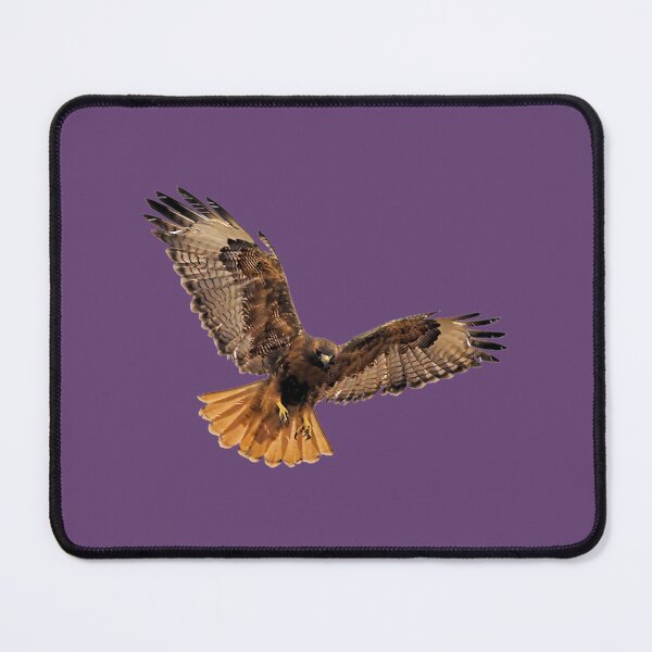 Item preview, Red- Tailed Hawk 5 Tee   	 designed and sold by wnqgezovv25.