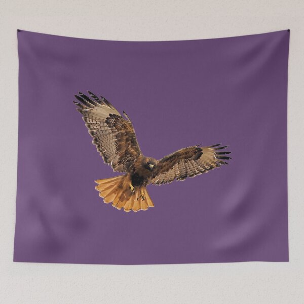 Item preview, Red- Tailed Hawk 5 Tee   	 designed and sold by wnqgezovv25.