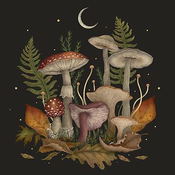 Artwork thumbnail, Autumn Mushrooms by episodicDrawing