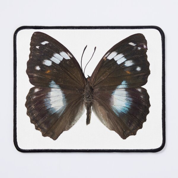 Item preview, Butterfly designed and sold by assaf.