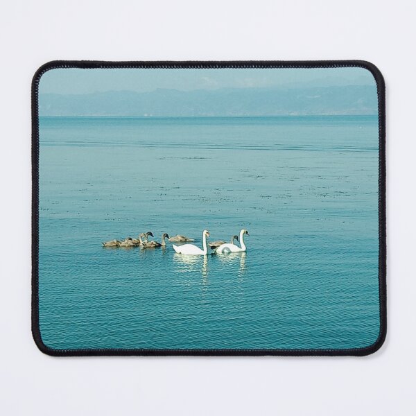 Item preview, Swan Family- Ohrid Lake designed and sold by Dreammkd.