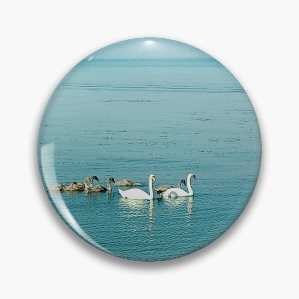 Item preview, Swan Family- Ohrid Lake  designed and sold by Dreammkd.