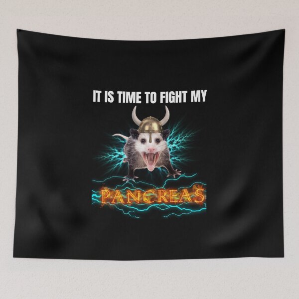 Item preview, It is time to fight my pancreas designed and sold by PrestigePenguin.