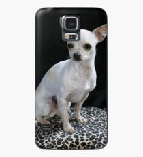 chihuahua sitting Case/Skin for Samsung Galaxy