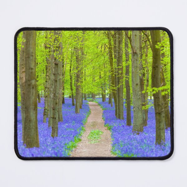 Item preview, Bluebell Path designed and sold by assaf.