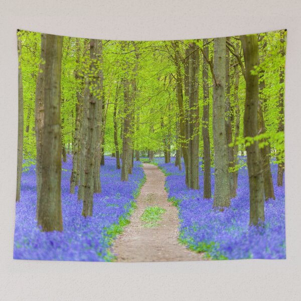 Item preview, Bluebell Path designed and sold by assaf.