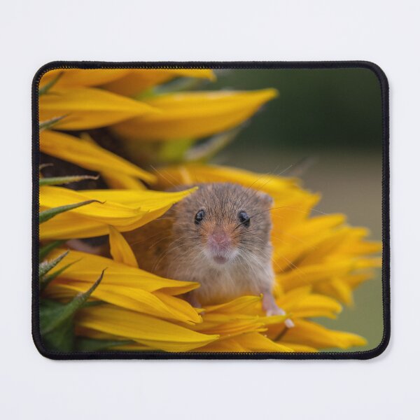 Item preview, "Golden Splendour: A Captivating Floral Close-Up" designed and sold by Adrian Rowley.