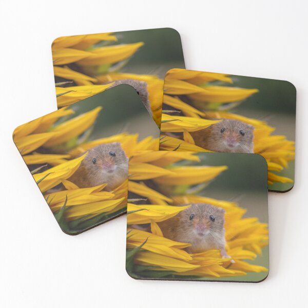 Item preview, "Golden Splendour: A Captivating Floral Close-Up" designed and sold by Adrian Rowley.