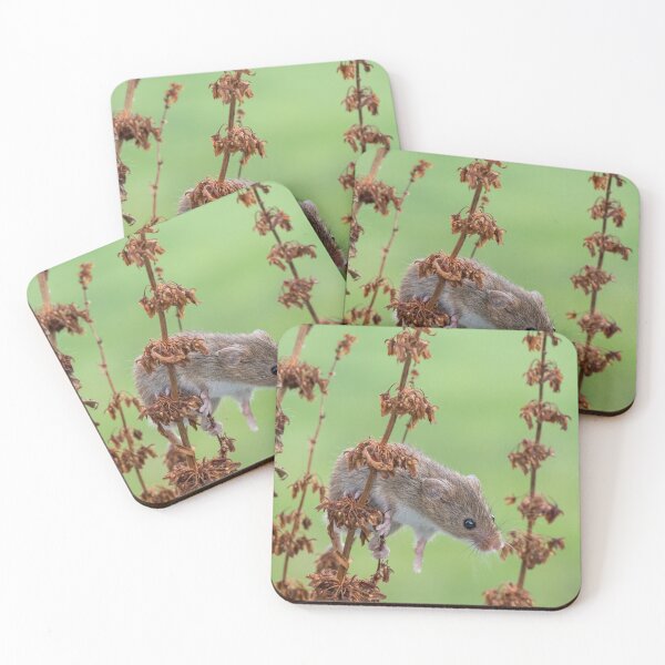 Item preview, "Double Trouble" amongst the foliage designed and sold by Adrian Rowley.
