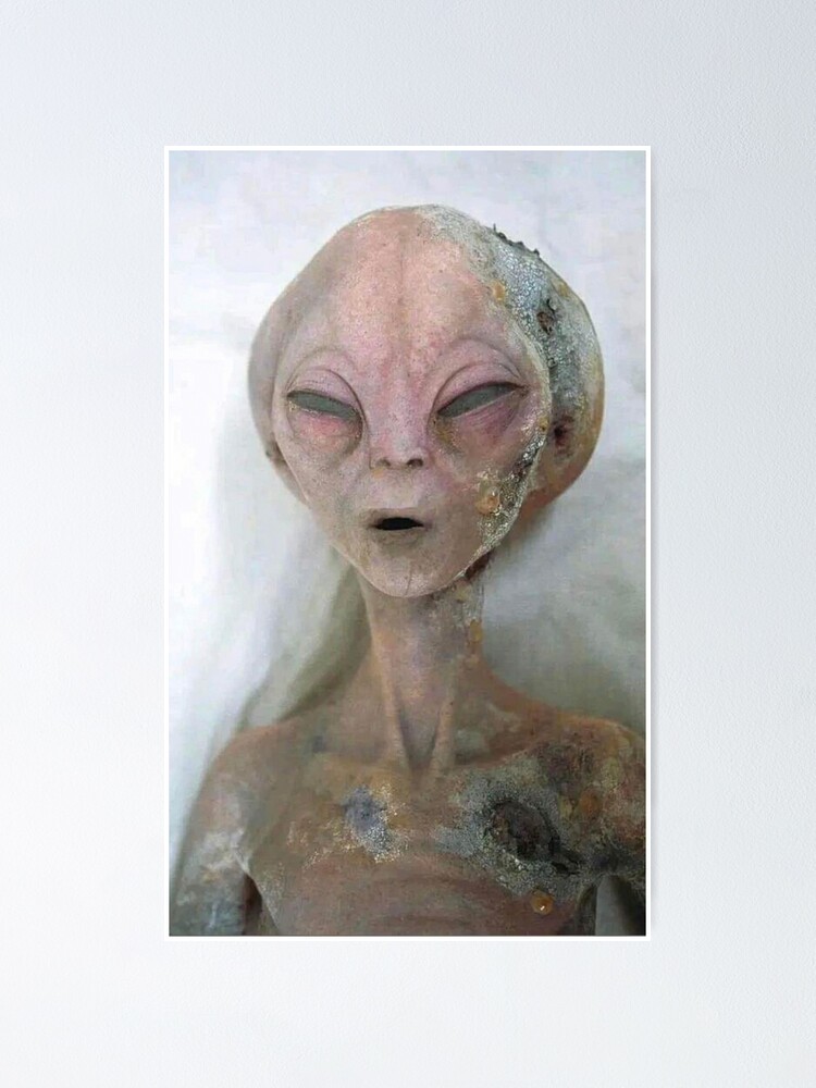 ⚠️未開封　the Roswell ALIENS ロズウェル　エイリアン Alien 1 Doll Roswell Incident UFO Figure 10cm Vintage 90s