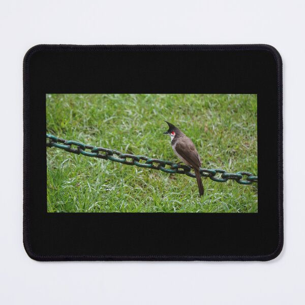Item preview, Bird waiting designed and sold by Giri1412.