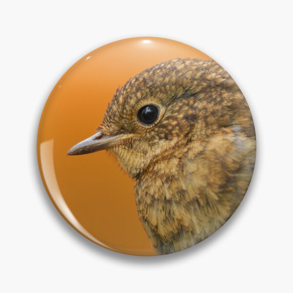 Item preview, Baby Robin On A Tree Branch designed and sold by rawshutterbug.
