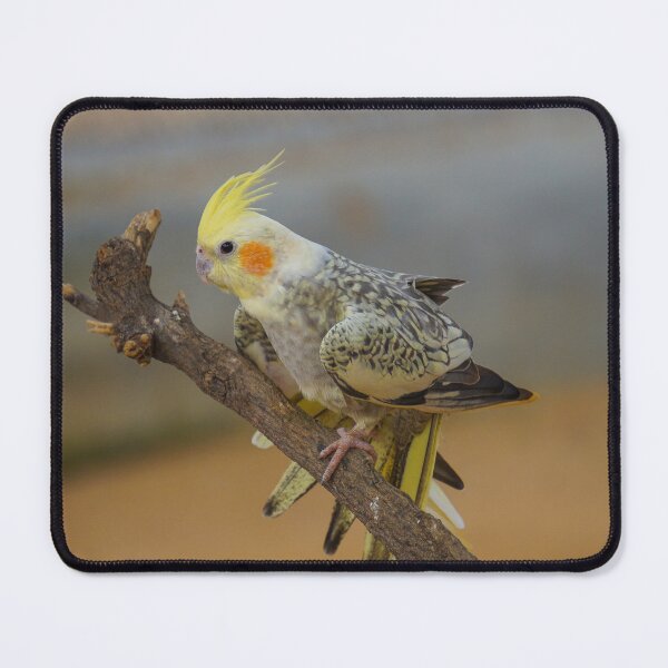 Item preview, Little tweet designed and sold by Giri1412.
