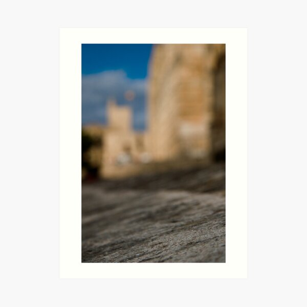 La Seu - Palma de Mallorcas 12th Century Cathedral #2 Art Print