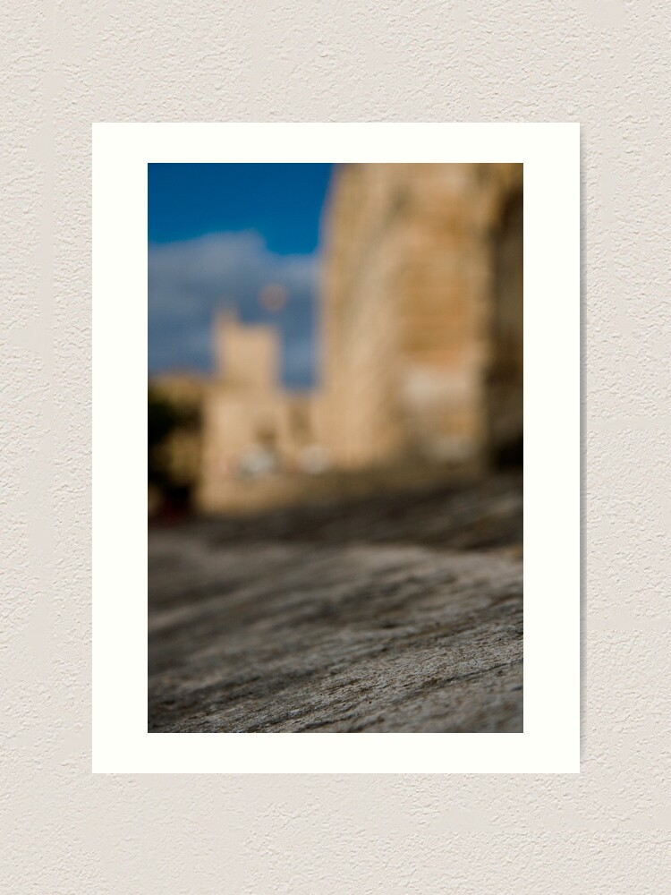 Alternate view of La Seu - Palma de Mallorcas 12th Century Cathedral #2 Art Print
