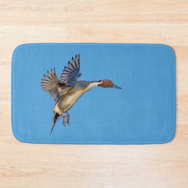 Item preview, Pintail Duck about to land designed and sold by Dalyndigital Photography.