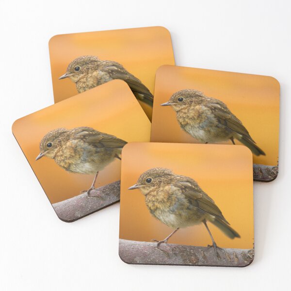 Item preview, Baby Robin On A Tree Branch designed and sold by rawshutterbug.