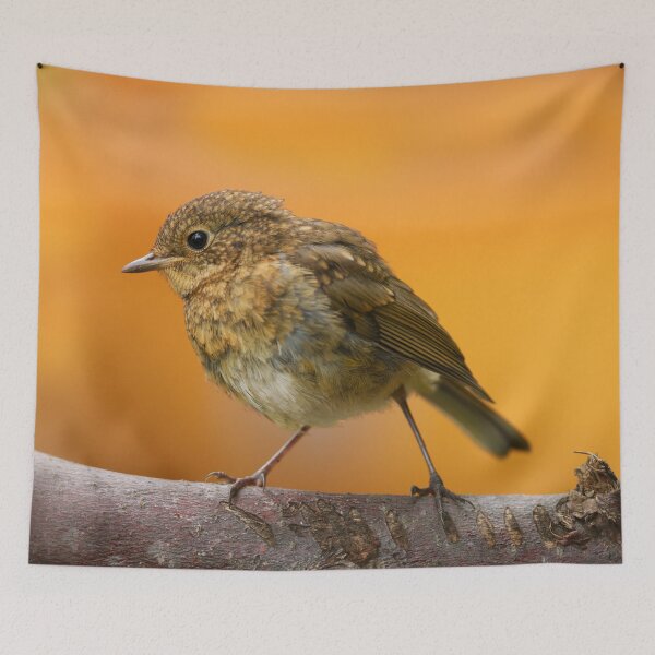 Item preview, Baby Robin On A Tree Branch designed and sold by rawshutterbug.