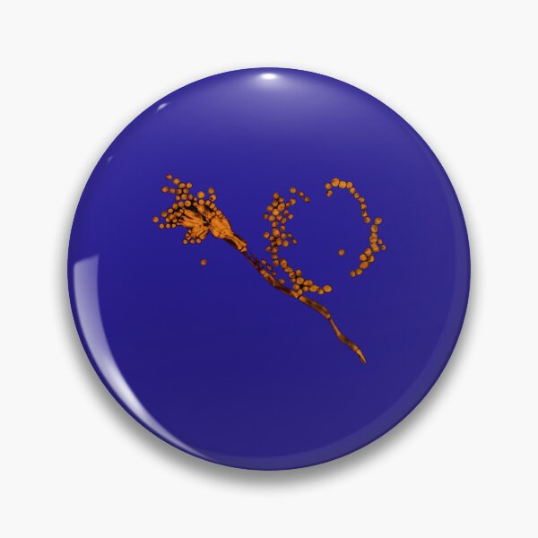 Item preview, Penicillium mold under the microscope 	 designed and sold by iucrvgboh85.
