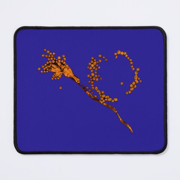 Item preview, Penicillium mold under the microscope 	 designed and sold by iucrvgboh85.