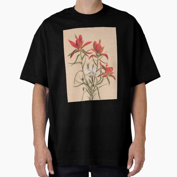 Vintage Indian Paintbrush and Daisy Painting | P295 Oversized T-Shirt