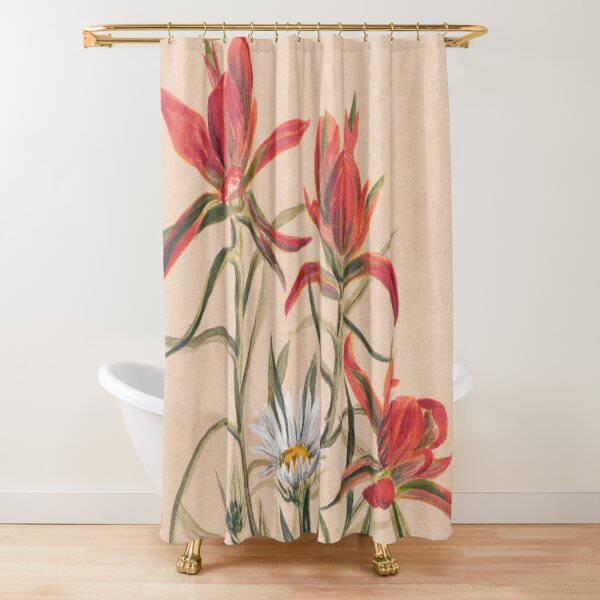 Vintage Indian Paintbrush and Daisy Painting | P295 Shower Curtain