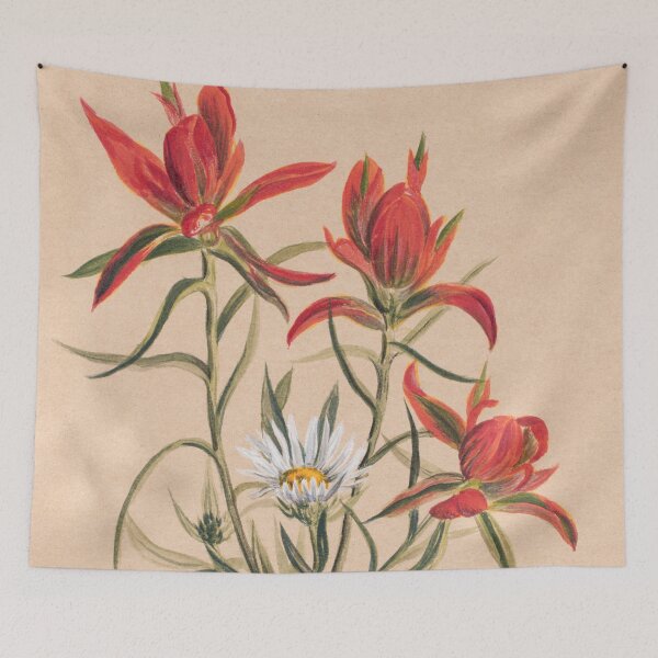 Item preview, Vintage Indian Paintbrush and Daisy Painting | P295 designed and sold by Piccolo Fiore Prints.