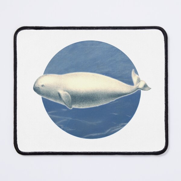 Item preview, Beluga, by Charles Melville (1874). Restored and reworked by Mindthecherry. designed and sold by MINDTHECHERRY.
