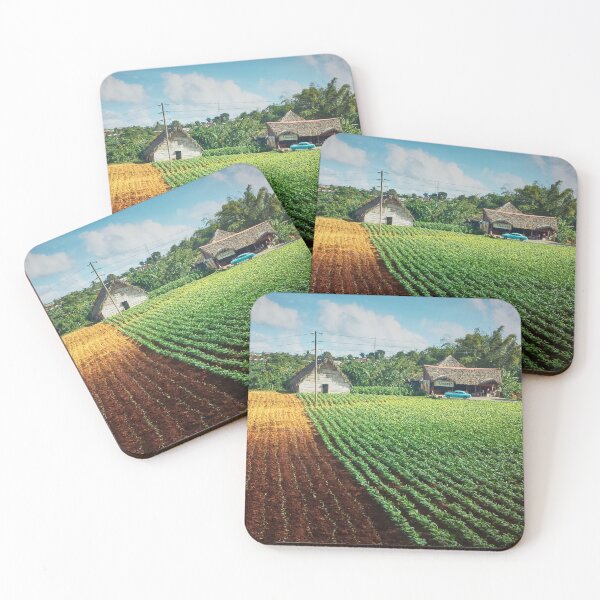 Item preview, Nature Photography | Tobacco field in Cuba designed and sold by Cora Wirth.
