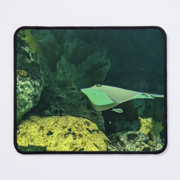 Item preview, Sting Ray Gliding designed and sold by TheRealDanniX.