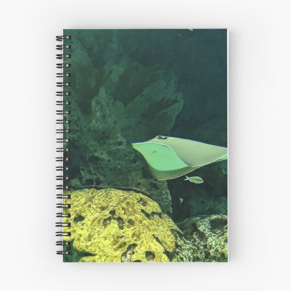 Item preview, Sting Ray Gliding designed and sold by TheRealDanniX.
