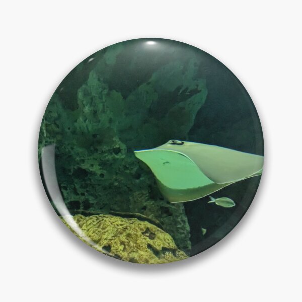 Item preview, Sting Ray Gliding designed and sold by TheRealDanniX.