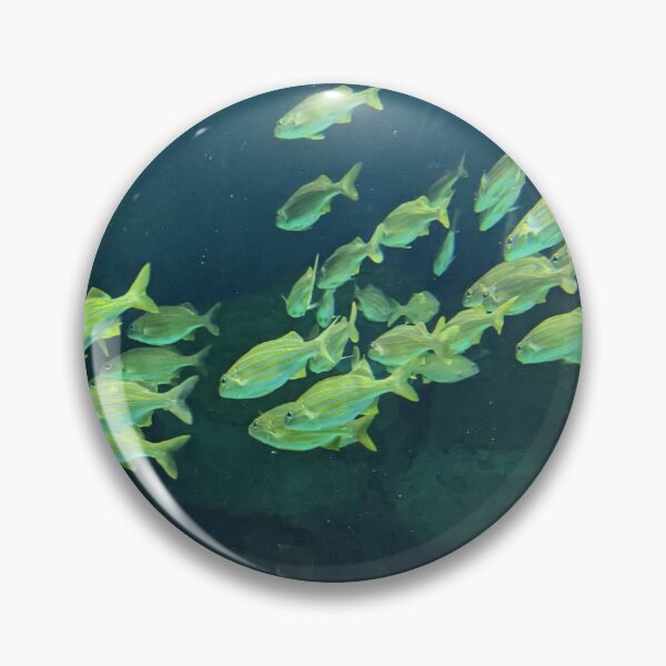 Item preview, A School of Yellowtail Snapper designed and sold by TheRealDanniX.