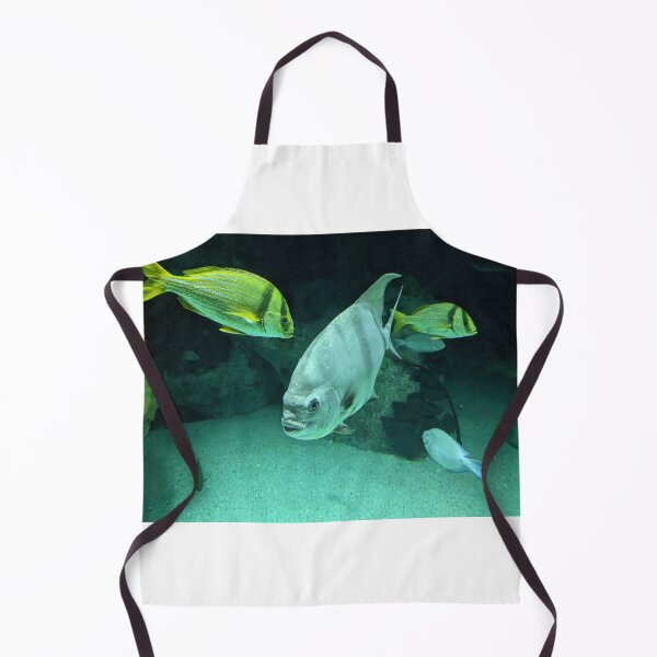 Item preview, Atlantic Spadefish designed and sold by TheRealDanniX.