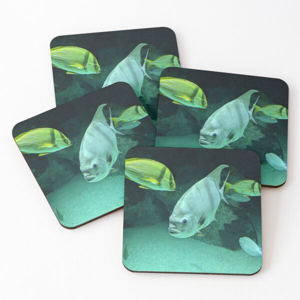 Item preview, Atlantic Spadefish designed and sold by TheRealDanniX.