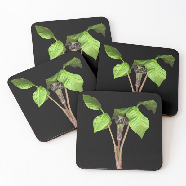 Item preview, Jack in the Pulpit designed and sold by Lisa  Davis.
