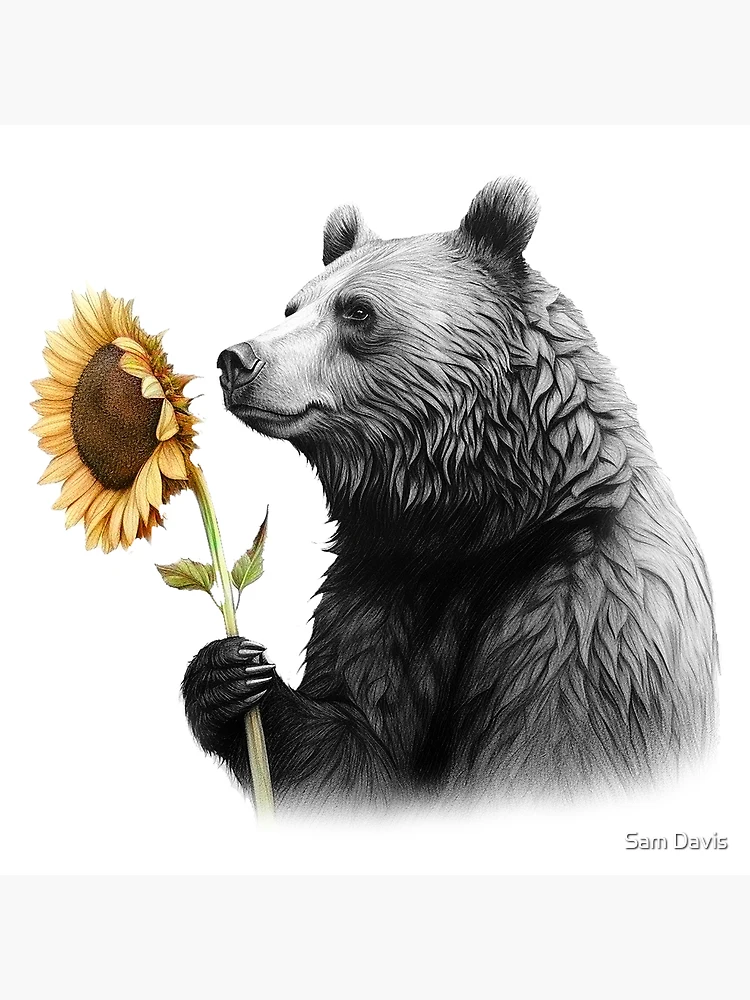 Bear and sunflower deals