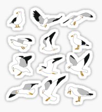 seagull Sticker