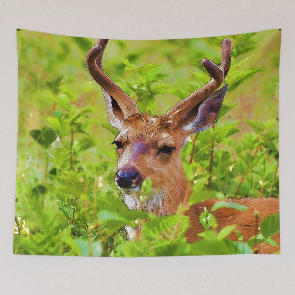 Item preview, Wilderness Deer - Jasper Alberta Wildlife designed and sold by NaturePrints.