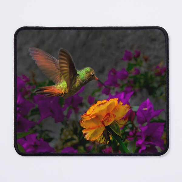 Item preview, Sniffing Out The Nectar II designed and sold by alabca.