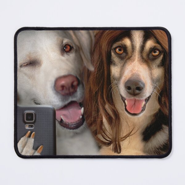 Item preview, Animal - Dog - More than just friends designed and sold by Mike Savad Photography.