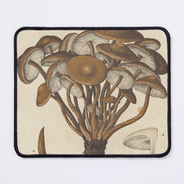 Item preview, L'Agaric Tortu designed and sold by Lloyd Library & Museum.