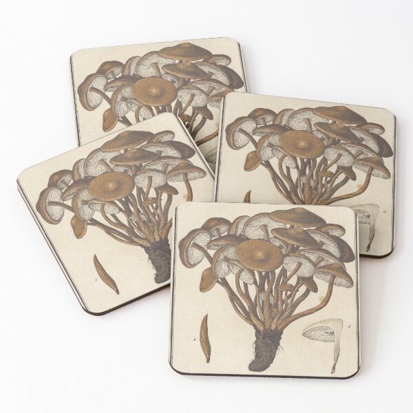 Item preview, L'Agaric Tortu designed and sold by Lloyd Library & Museum.