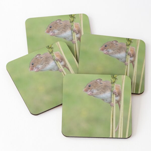 Item preview, Harvest Mice balancing act designed and sold by Adrian Rowley.