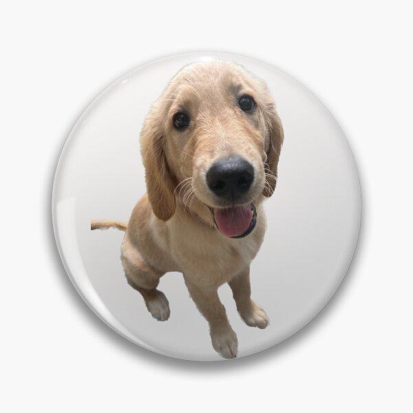 Item preview, Golden Retriever Puppy Face designed and sold by Colorcollage.
